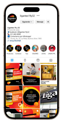 perfil de instagram de ligantex19y32