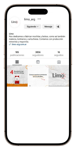 perfil de instagram de limo_arg